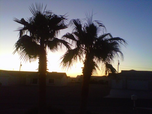 Loraluvslhc's profile picture. sphere..tech..rhythm...psy...graphy....nics....That's all the bio' s I have.