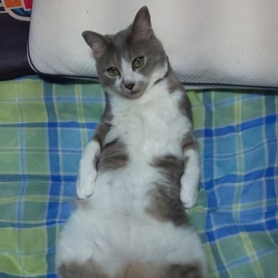 isk姐御さんのプロフィール画像