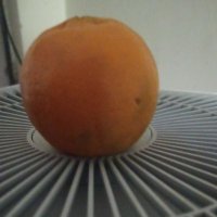 PitViper (@pit58979085) 's Twitter Profile