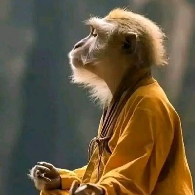 freemanofDeFi's profile picture. Crypto Enthusiast @spaace_io