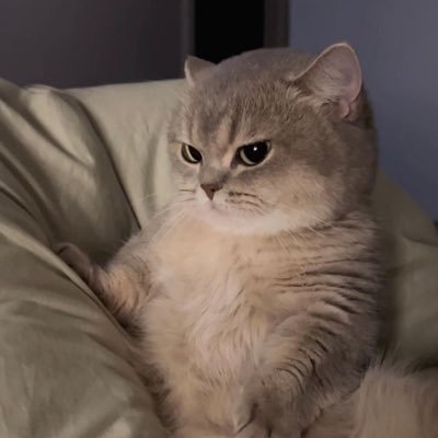 su_sakura123's profile picture. Sakura