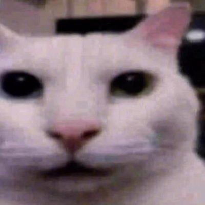 official cat retweeter | summer hate acc | ☭🚩