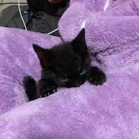 Alexia (@alclr_) 's Twitter Profile Photo Alexia (@alclr_) 's Twitter Profile Photo