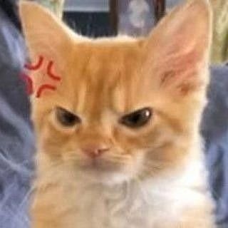 choco pembaikさんのプロフィール画像
