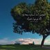 مصطفاأه || ١٤٢٢ه (@mosaudy2391) Twitter profile photo مصطفاأه || ١٤٢٢ه (@mosaudy2391) Twitter profile photo