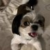 𝗵𝗻𝗶𝗻𝗴𝗵𝗻𝗶𝗻𝗴 ❕🐶 (@joplin_ki) Twitter profile photo 𝗵𝗻𝗶𝗻𝗴𝗵𝗻𝗶𝗻𝗴 ❕🐶 (@joplin_ki) Twitter profile photo