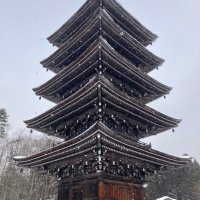 デコポン (@dekopon_quiz) 's Twitter Profile