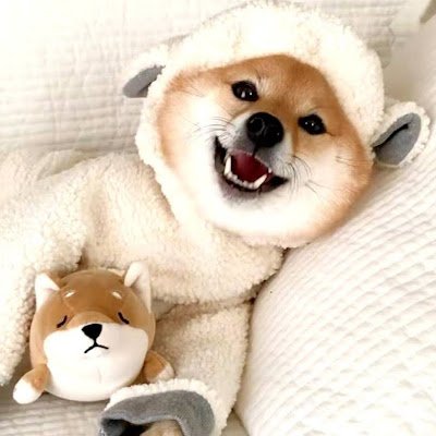 AmberChen727's profile picture. 