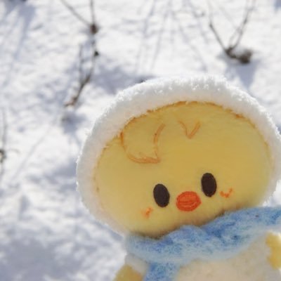 zoeyame's profile picture. ∴'ㅅ'∴