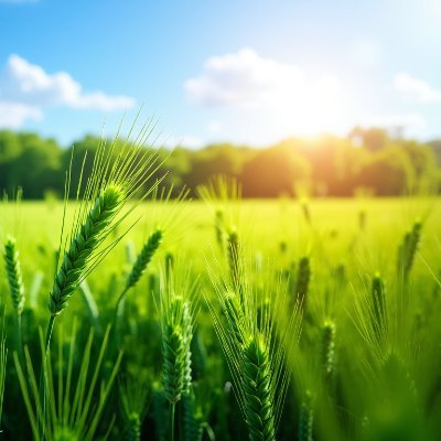 کمیسیون کشاورزی، آب، منابع طبیعی و محیط زیست منتظران صبح ایران فردا