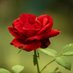 Amruta (@vishal1654859) Twitter profile photo Amruta (@vishal1654859) Twitter profile photo