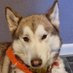John (@john76019522465) Twitter profile photo John (@john76019522465) Twitter profile photo