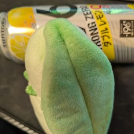 VaVanVaVer's profile picture. 沖縄にシークを布教