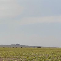 سلطان الأستثنائي46🏆 (@as__al_) Twitter profile photo