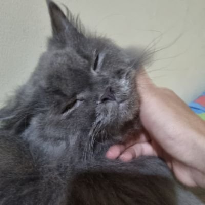 otirduyab's profile picture. pelajar di jakarta

Ilmu Ekonomi - Unpad