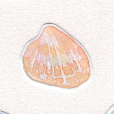 센さんのプロフィール画像