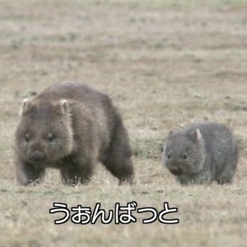 ai25869's profile picture. 