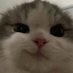지유 𝙅𝙞𝙮𝙪 (@fhdjskal__18) Twitter profile photo 지유 𝙅𝙞𝙮𝙪 (@fhdjskal__18) Twitter profile photo