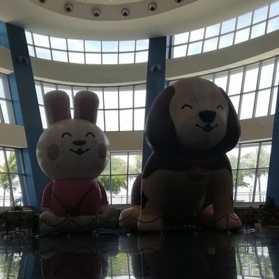 fan account.
tiktok account : frnbcky6
ig account : _annieramos