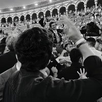 Pedro (@un_taurino_mas) 's Twitter Profile Photo Pedro (@un_taurino_mas) 's Twitter Profile Photo