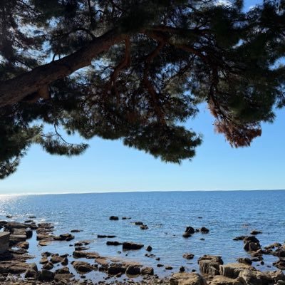 lihnidcrypto's profile picture. 