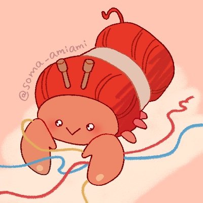 soma_amiami's profile picture. 編み物記録🧶 20⬆️ 2024.6〜 ほぼかぎ針メイン＆棒針チャレンジ中🌟 時々 #そまの編み方レシピ で編み図等公開してます.ᐟ サブ▶︎@amuyadokari 絵▶︎@soma_sosoma_