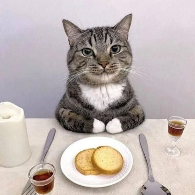 demisbiiitch's profile picture. Meow