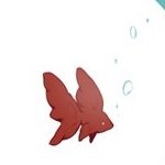 赤身 (@ankoroannin) 's Twitter Profile Photo