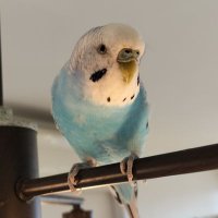 しんお (@shintd7802) 's Twitter Profile