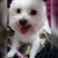 Davis Garth (@davisgarth52727) 's Twitter Profile