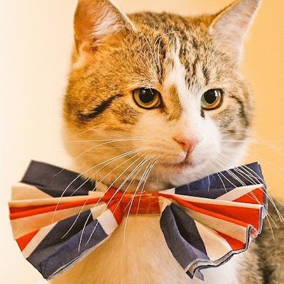 PatrickFan45872's profile picture. 