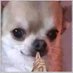 no soy guaro (@notguaro123) Twitter profile photo no soy guaro (@notguaro123) Twitter profile photo