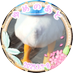 ほだ (@hodaka0106) Twitter profile photo ほだ (@hodaka0106) Twitter profile photo