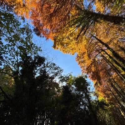 阿多木(アタギ)さんのプロフィール画像