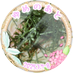 ããããœãŒã¹ã·ã·ãªãŒé¢š (@tarako_shishiri) Twitter profile photo ããããœãŒã¹ã·ã·ãªãŒé¢š (@tarako_shishiri) Twitter profile photo