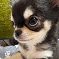 부유시 (@boooousi_1997) 's Twitter Profile Photo 부유시 (@boooousi_1997) 's Twitter Profile Photo