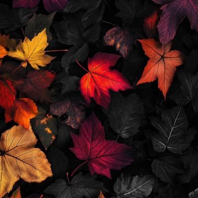 IndhruIyap1514's profile picture. 