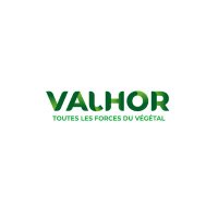VALHOR (@val_hor) 's Twitter Profile Photo VALHOR (@val_hor) 's Twitter Profile Photo