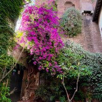 vvvvv (@esch_digit) Twitter profile photo