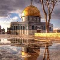 Um Ismael/ام اسماعیل (@um_ismaeel22) 's Twitter Profile Photo Um Ismael/ام اسماعیل (@um_ismaeel22) 's Twitter Profile Photo