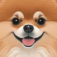 DreamerScot (@dreamer_scot) 's Twitter Profile