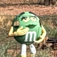 Cindy Arizona (@cinnew768) 's Twitter Profile