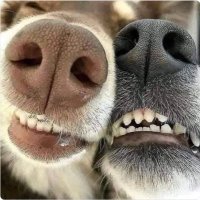 Kristie (@thepastistense) 's Twitter Profile Photo