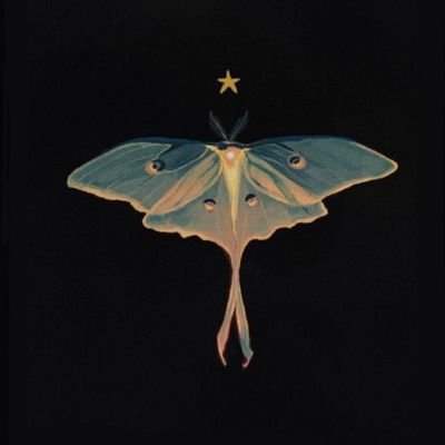 AmabO___'s profile picture. ˚ ༘✶ ⋆｡˚ ⁀➷