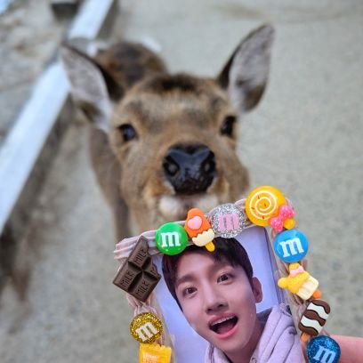 changminabambi's profile picture. 東方神起（동방신기）＝🍑ℂ🧑🏻‍🤝‍🧑🏻𝕐 🍓　
Bigeast & Cassiopeia AceⅢ
𝐼𝑛𝑠𝑡𝑎𝑔𝑟𝑎𝑚 = Main🔗　*⋆ᐪᐜᑊᵗᵗᵉʳ⃝ = 応援📣お礼 • 情報収集 /
 & たまにSKZ Felix ピリちゃん🐥
📱✨したため👜中で誤Rt等多数 🙇