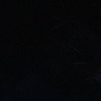 X ManBD (@selfcuk69) 's Twitter Profile