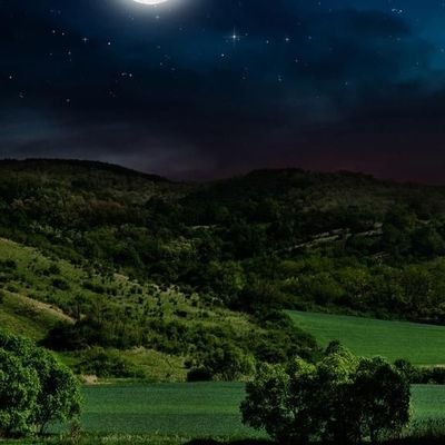 KJvxnf's profile picture. تخفيض الضرييبة القيمة المضافة وشطب الرقم المميز
https://t.co/yE46FW3OCa