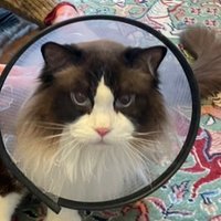 Jari Taponen (@jaritaponen) 's Twitter Profile