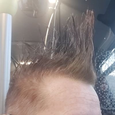 MonikaStein9's profile picture. 4×geimpft und noch am leben fckafd