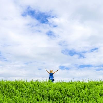 【頑張ったけど稼げない人😓】フォロワー集めを必死に頑張っても全く稼げなかった😥|フォロワー増やせば稼げるんじゃなかったの?|無駄な努力と時間のムダ😭|それでも正しい術を学ぶ事ができました🤓|固定ポストから今なら無料で学べます|実績や専門知識なしでも再現可能|初心者入門書配布中- ̀͏̗🎁 ́͏̖-